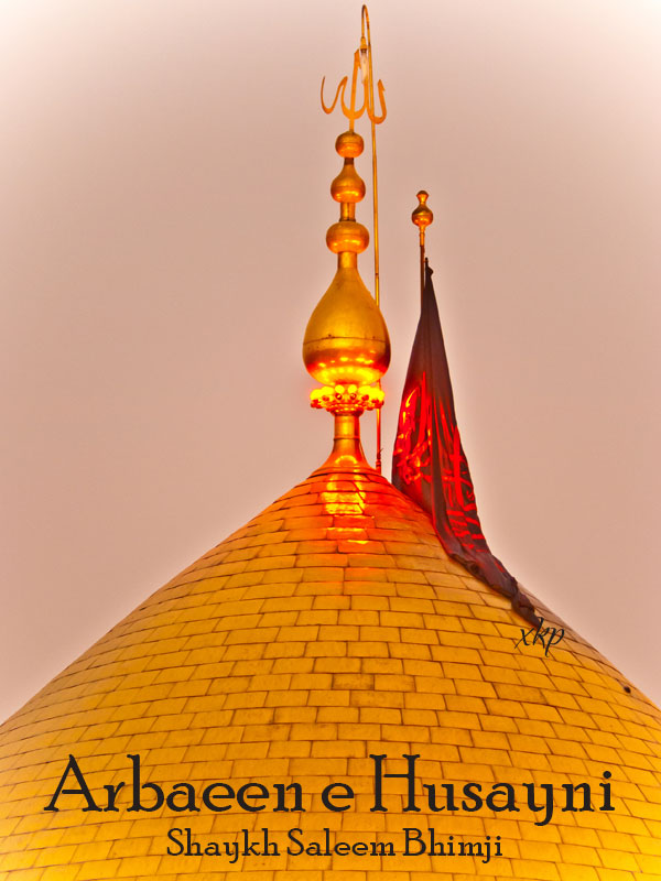 Arbaeen e Husayni